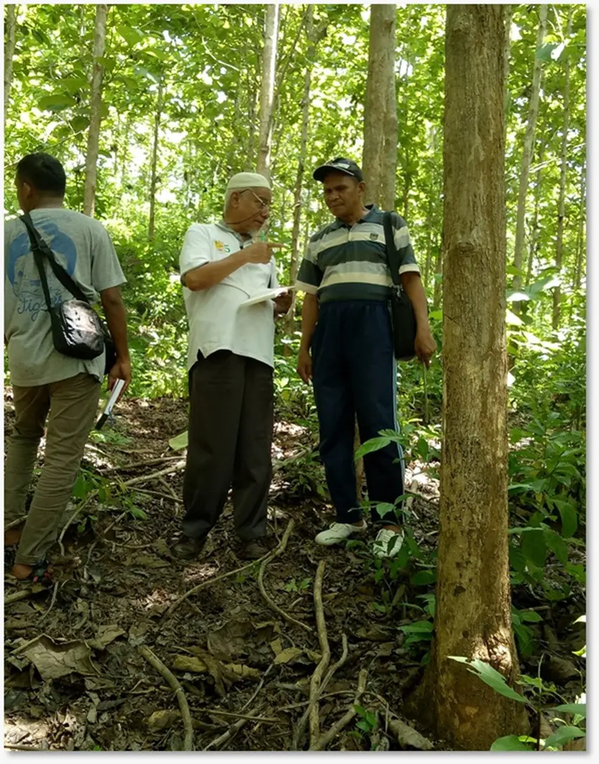 Mr. Sahirsan teaching farmers the agroforestry method