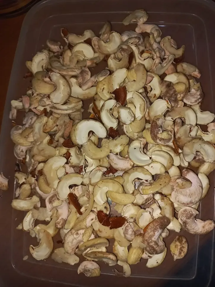 Teak forest grown through the agroforestry program