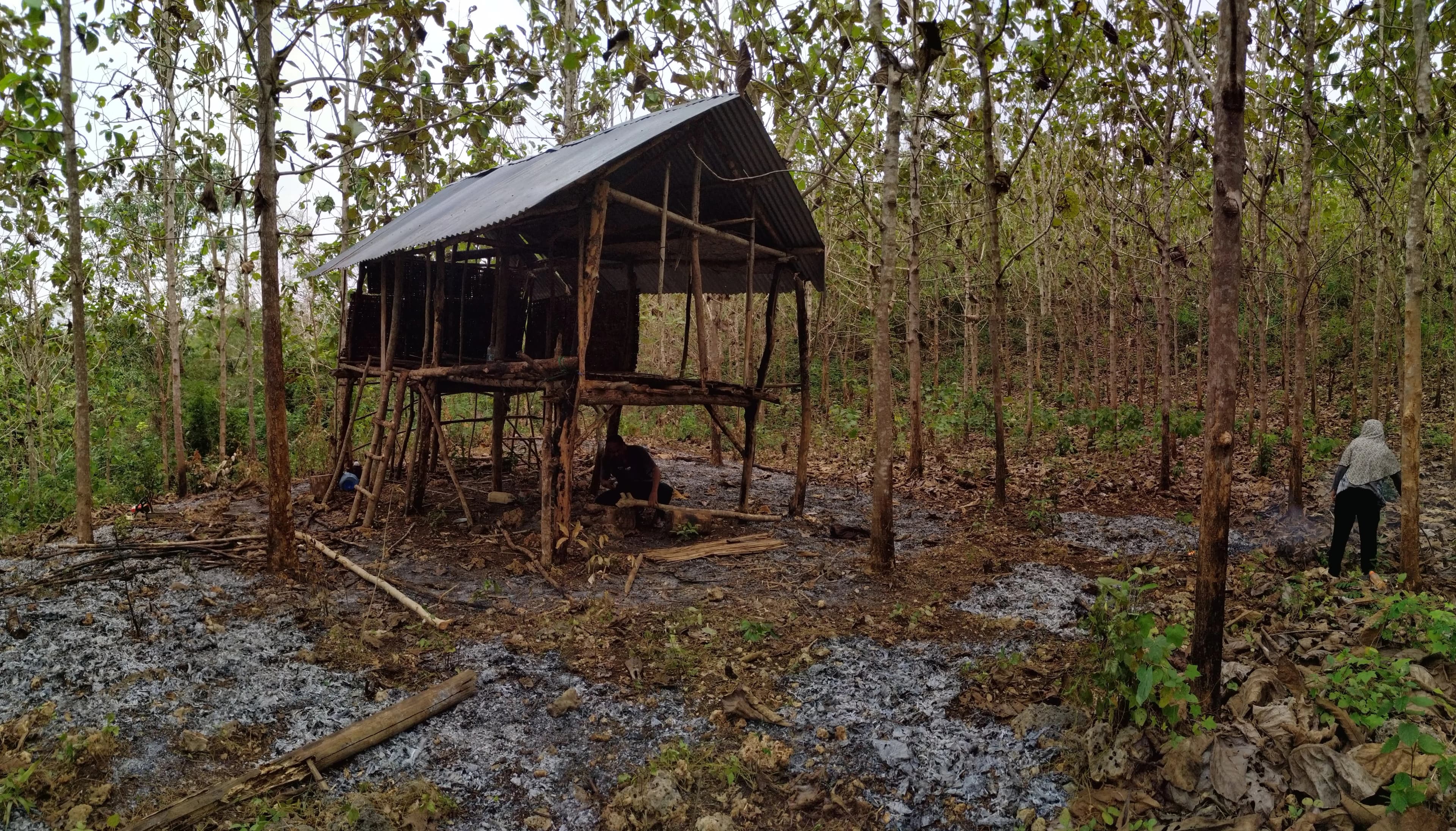 Sustainable agriculture and tree planting initiative